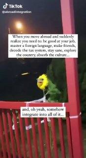 October 2024